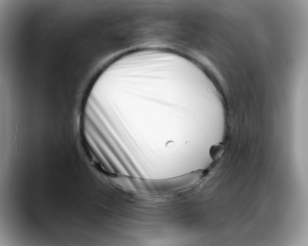 X0000088131416200706111359