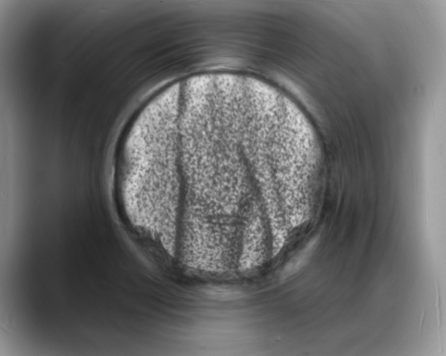 X0000088131418200706111359