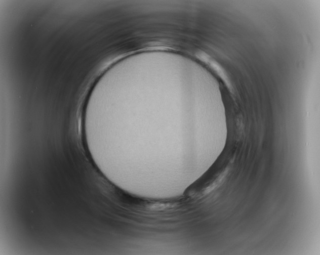 X0000088131419200706111359