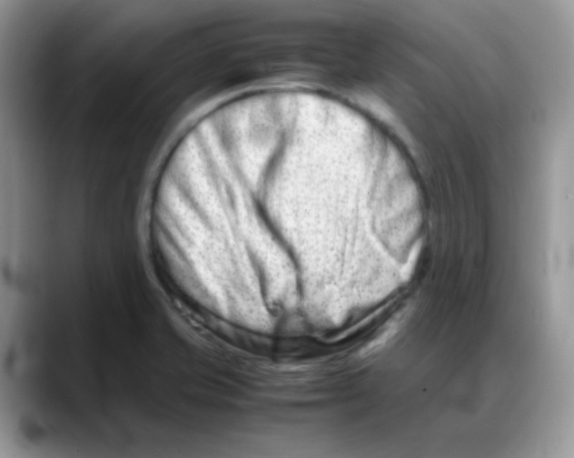 X0000088131421200706111359