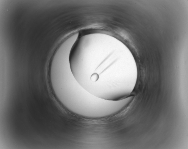 X0000088131422200706111359