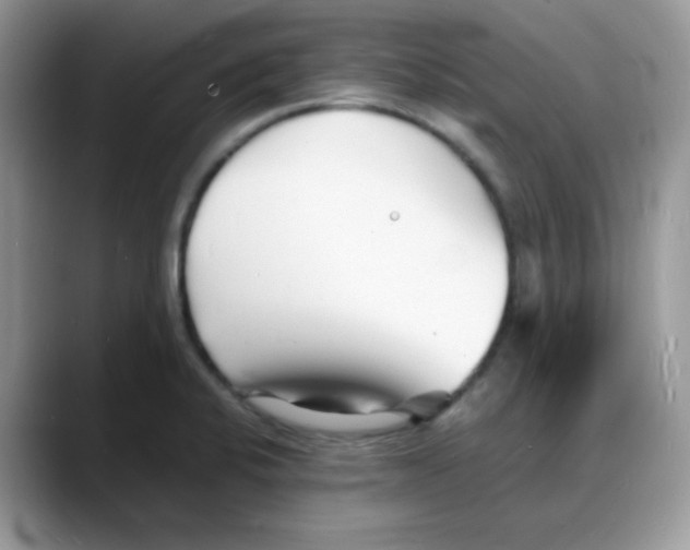 X0000088131424200706111359