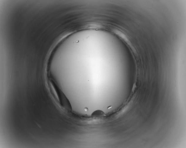 X0000088131426200706111359