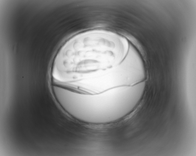 X0000088131432200706111359