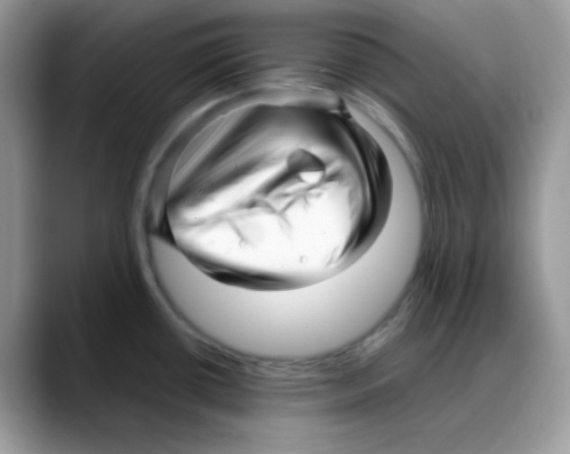 X0000088131434200706111359