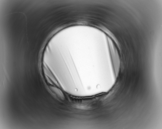 X0000088131437200706111359