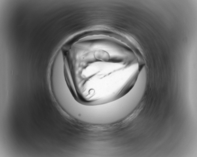 X0000088131438200706111359