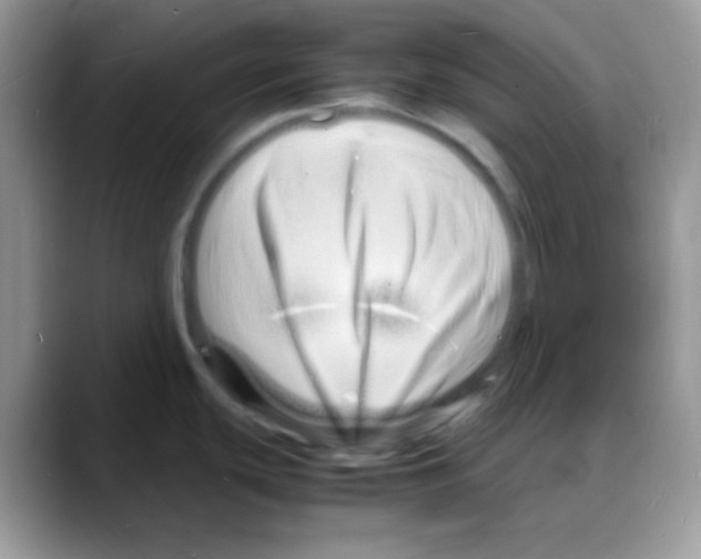 X0000088131439200706111359