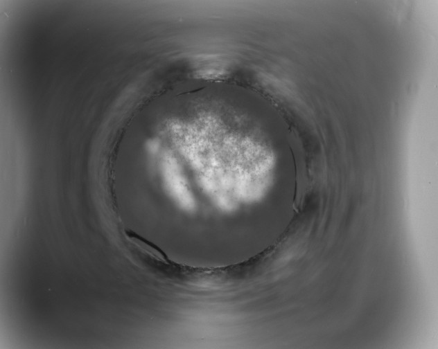 X0000088131441200706111359