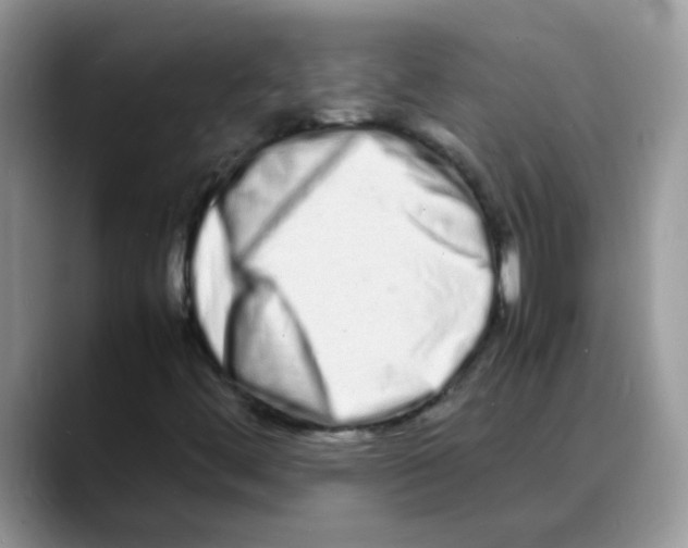 X0000088131444200706111359