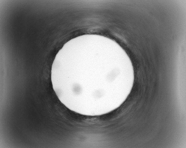 X0000088131447200706111359