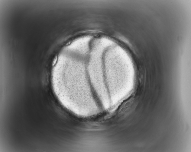 X0000088131448200706111359