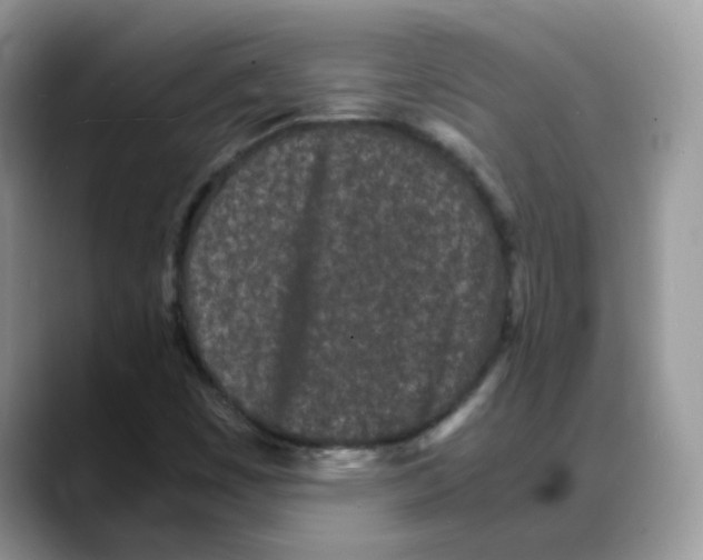 X0000088131449200706111359