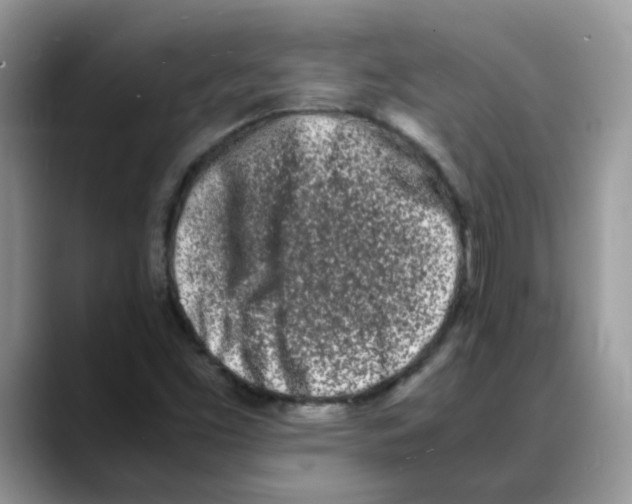 X0000088131453200706111359