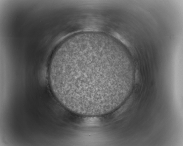 X0000088131454200706111359