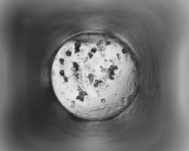 X0000088131455200706111359