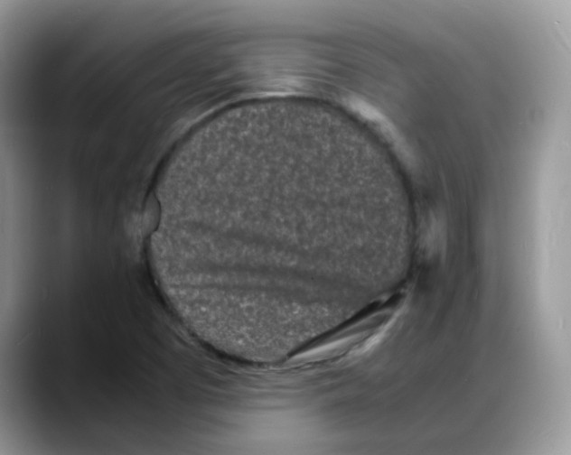 X0000088131457200706111359