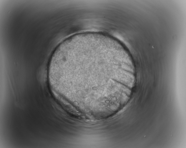 X0000088131459200706111359