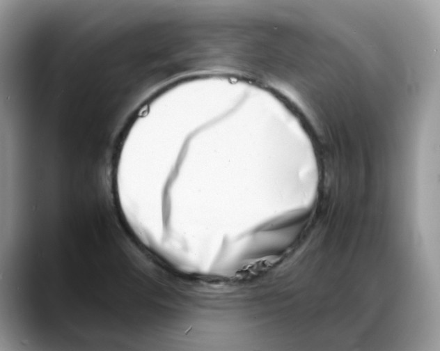 X0000088131460200706111359