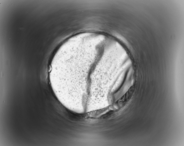 X0000088131461200706111359