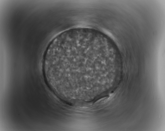 X0000088131463200706111358