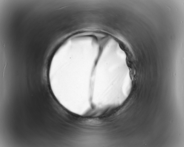 X0000088131464200706111358