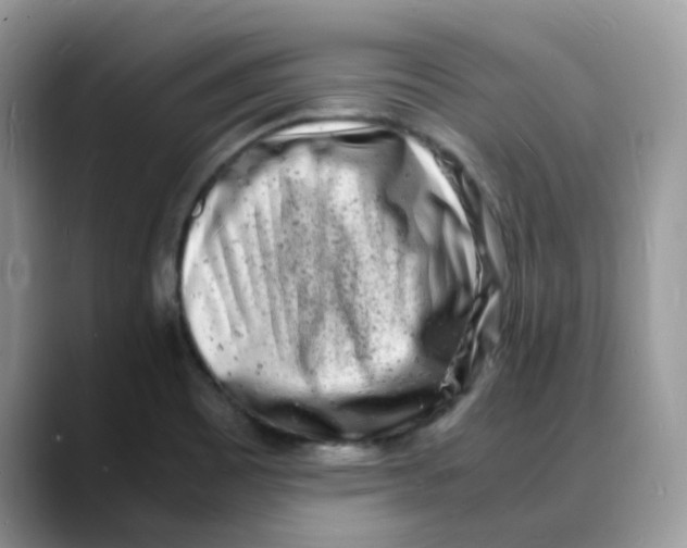 X0000088131465200706111358