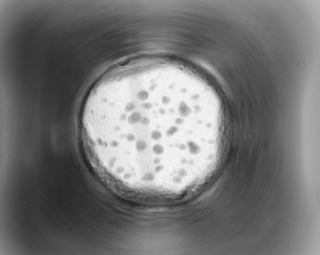 X0000088131467200706111358