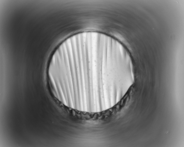 X0000088131469200706111358