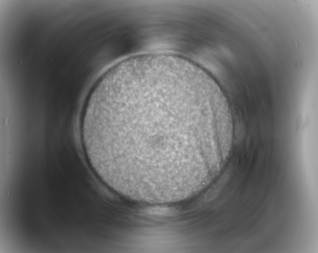 X0000088131470200706111358