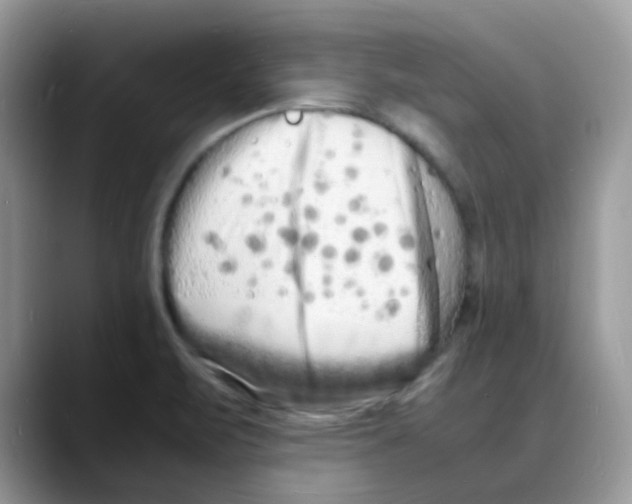 X0000088131471200706111358