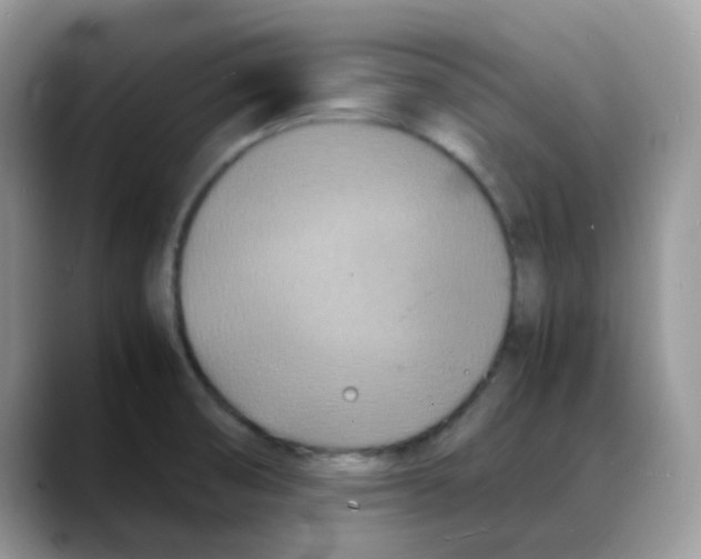 X0000088131474200706111358