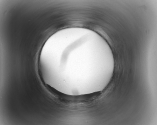 X0000088131475200706111358