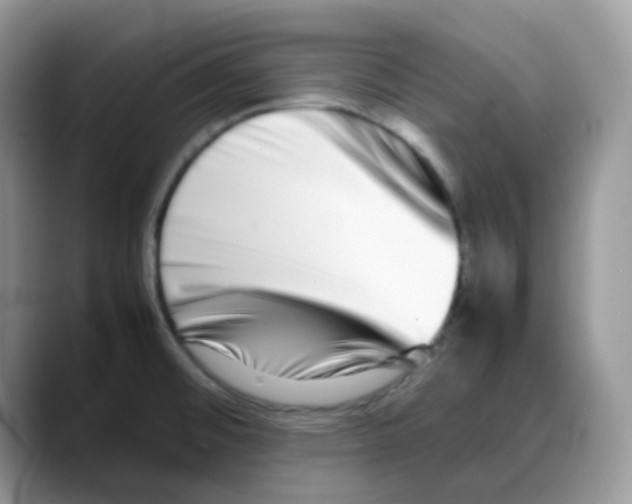 X0000088131476200706111358