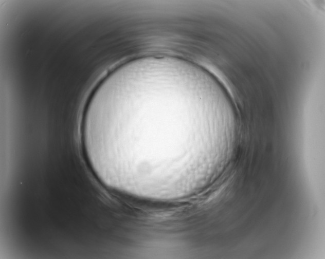 X0000088131477200706111358