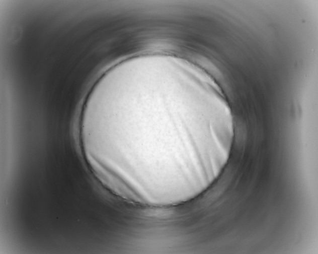 X0000088131478200706111358