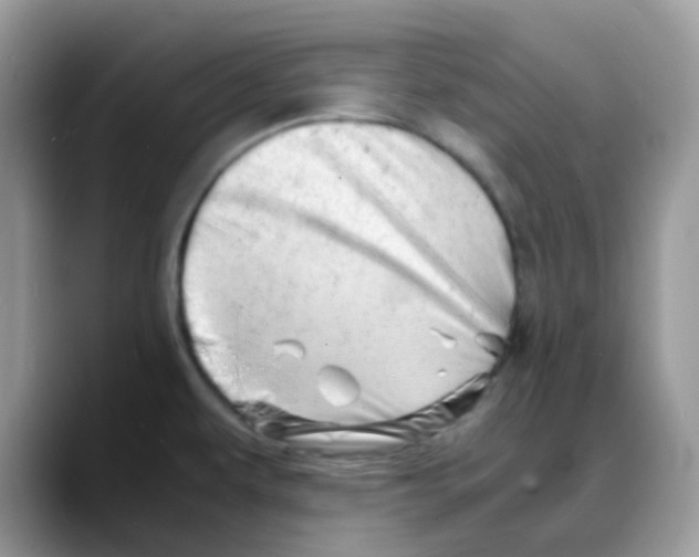 X0000088131479200706111358