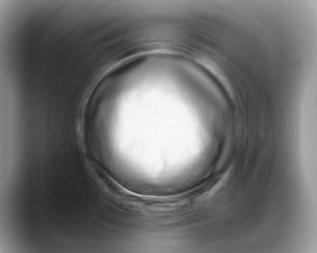 X0000088131481200706111358