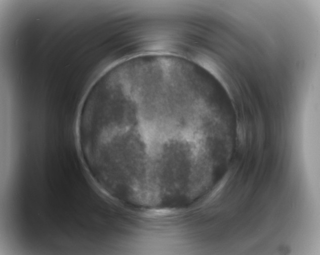 X0000088131482200706111358