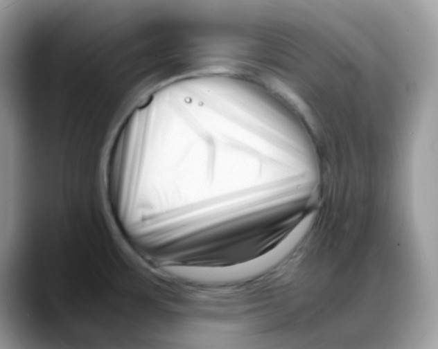 X0000088131483200706111358