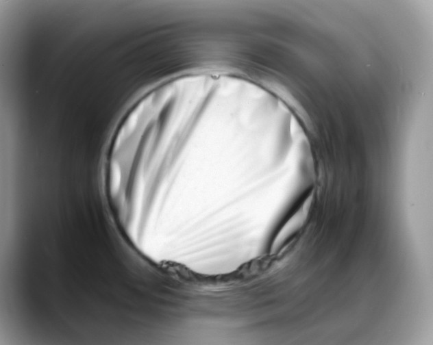 X0000088131484200706111358