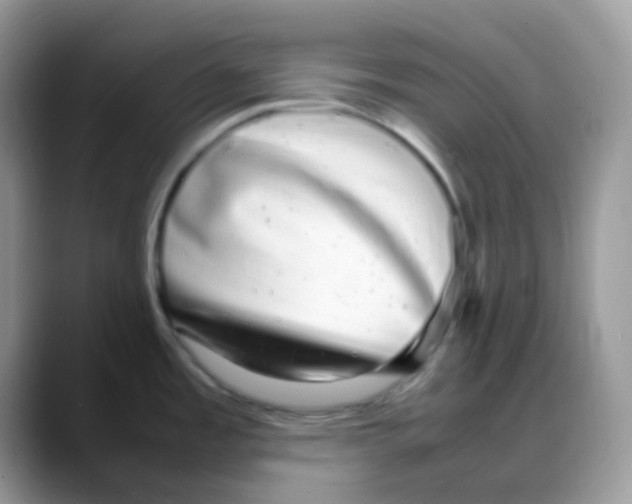 X0000088131485200706111358