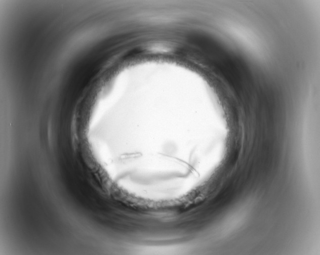 X0000088131487200706111358