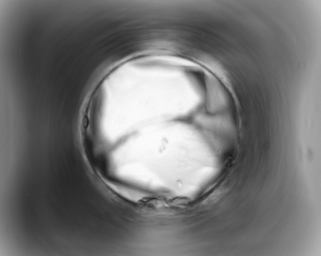 X0000088131488200706111358