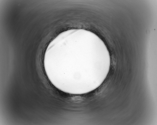 X0000088131489200706111358