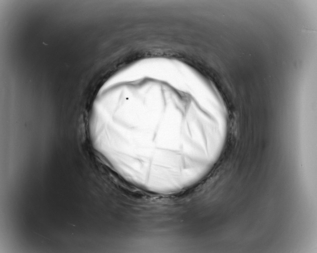 X0000088131493200706111358