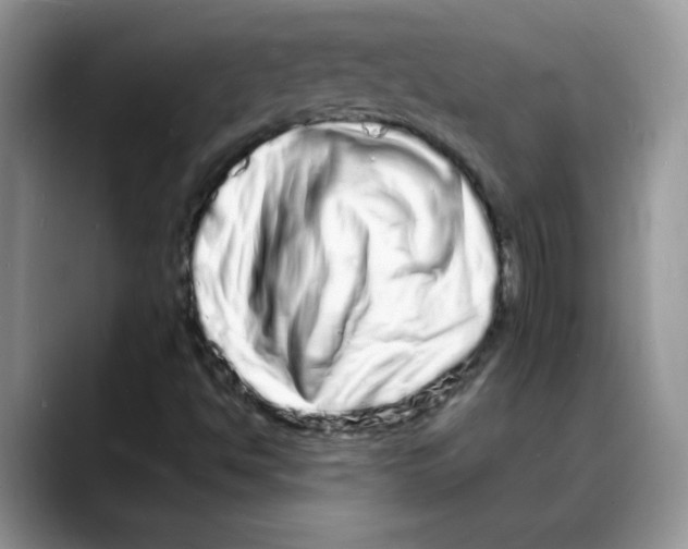 X0000088131494200706111358