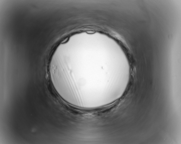 X0000088131496200706111358