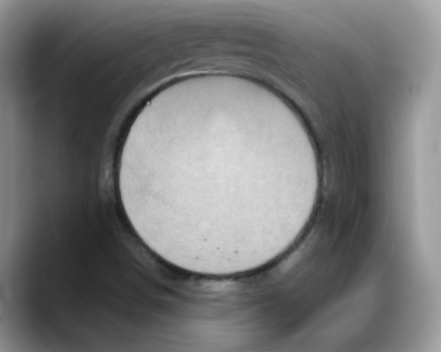 X0000088131498200706111358