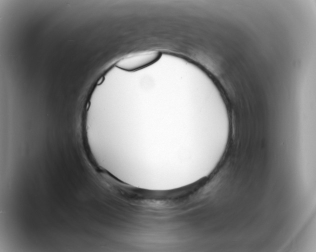 X0000088131500200706111358